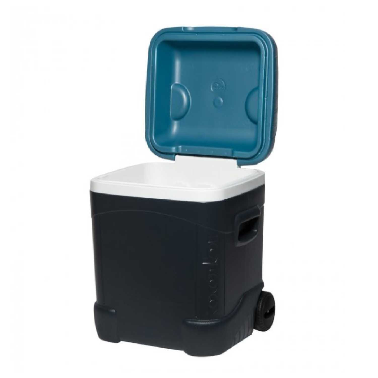 igloo maxcold cube